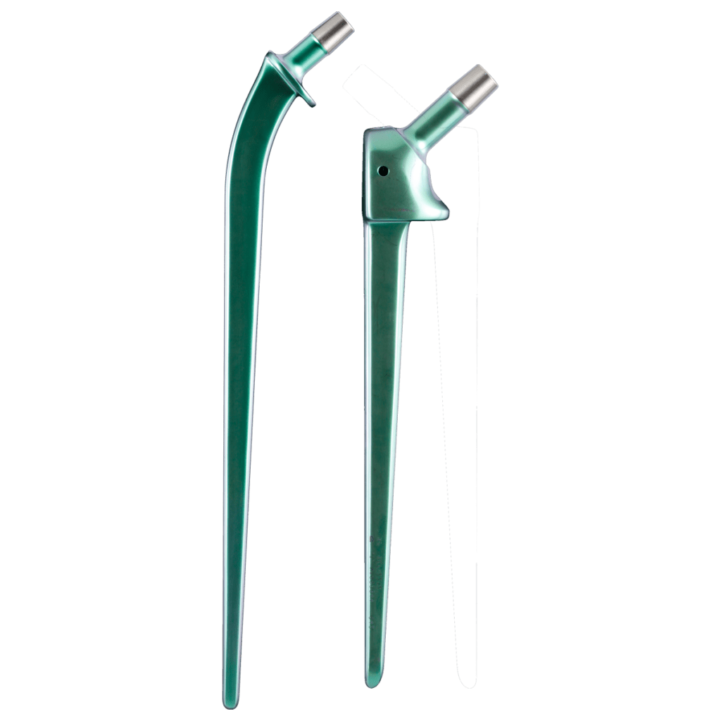 Ceraver Long OSTEAL Revision